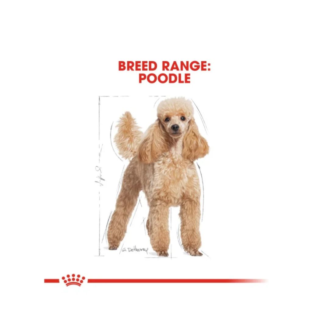 Royal Canin Breed Health Nutrition Poodle Adult (WET FOOD)