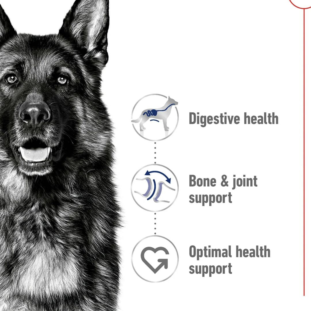 Royal Canin Size Health Maxi Adult Dog Dry food 15kg