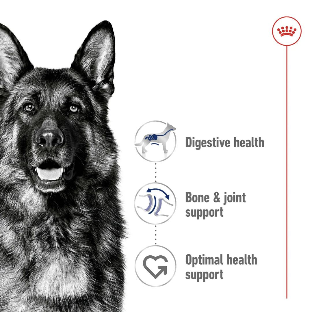 Royal Canin Size Health Maxi Adult Dry Dog food 10kg