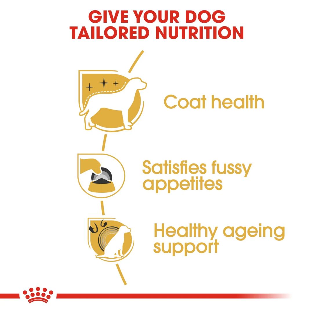 Royal Canin Breed Health Nutrition Yorkshire Terrier Adult Dry food 1.5kg