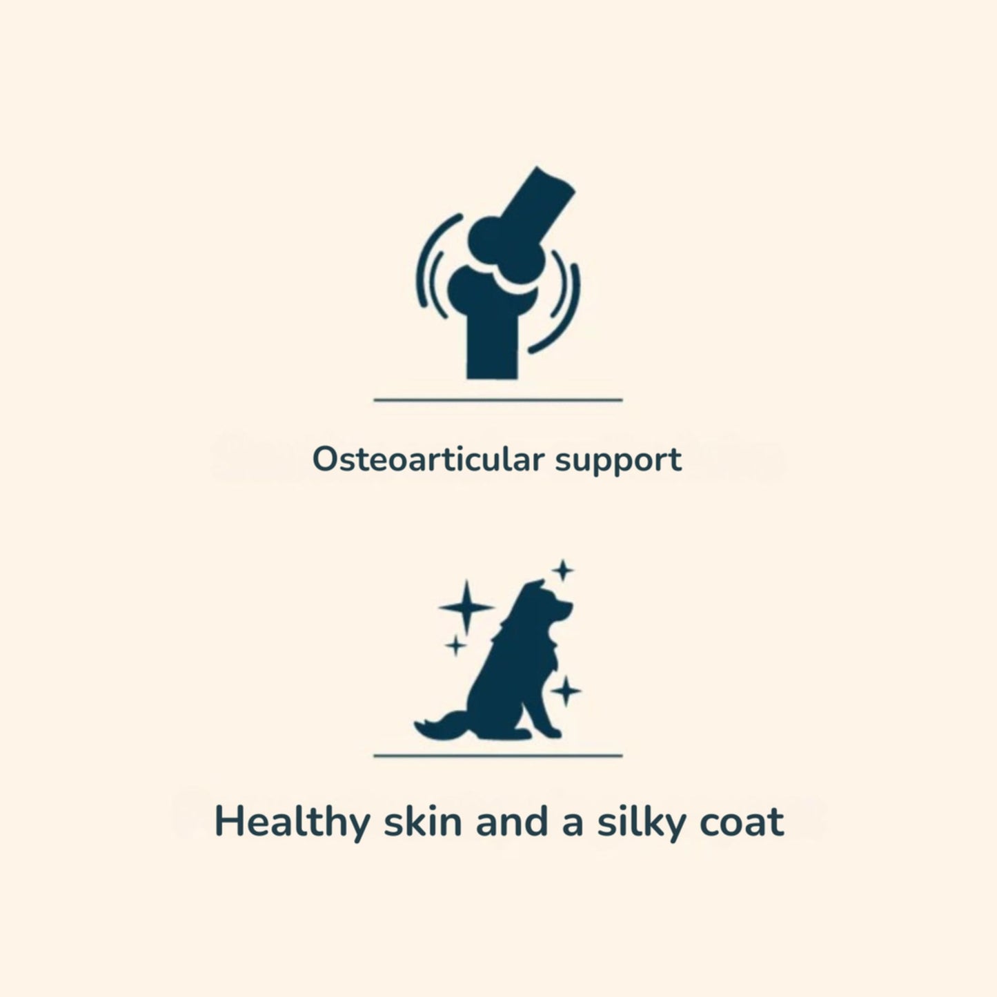 Icons and text indicating osteoarticular support and healthy skin with a silky coat on a beige background.