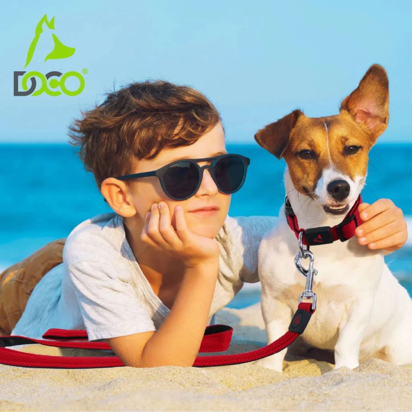 Doco Jelly Bean Dog Leash - 5Ft