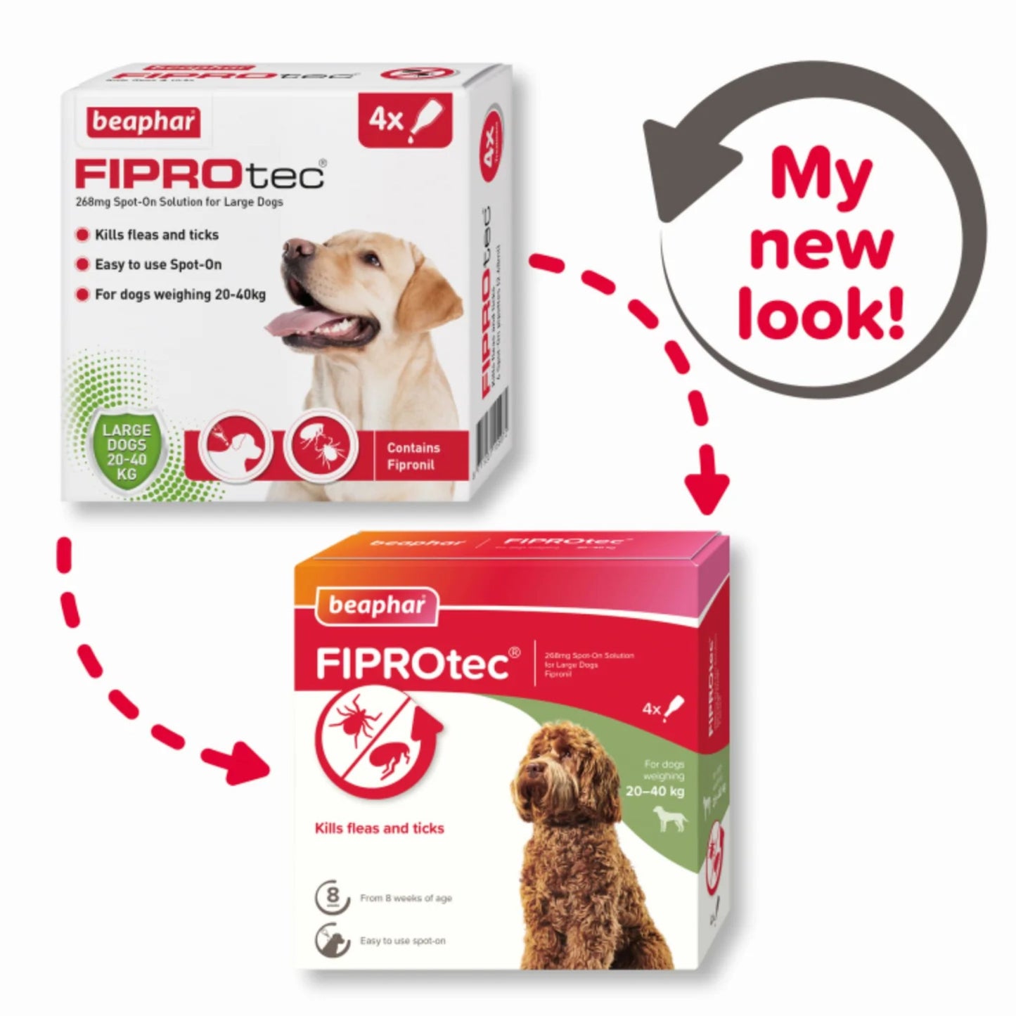 Beaphar Fiprotec Spot-On For Large Dog - 4 Pipette