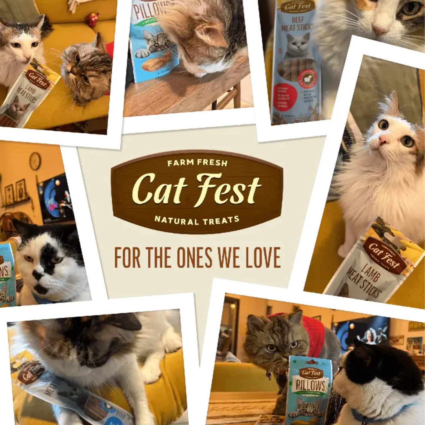 Cat Fest Pillows With Chicken Cream Tasty Cat Snacks – 30g