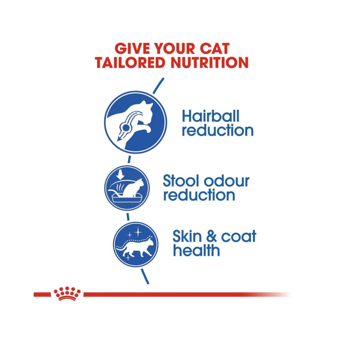 Royal Canin Feline Health Indoor Long Hair Cat Dry food 2kg