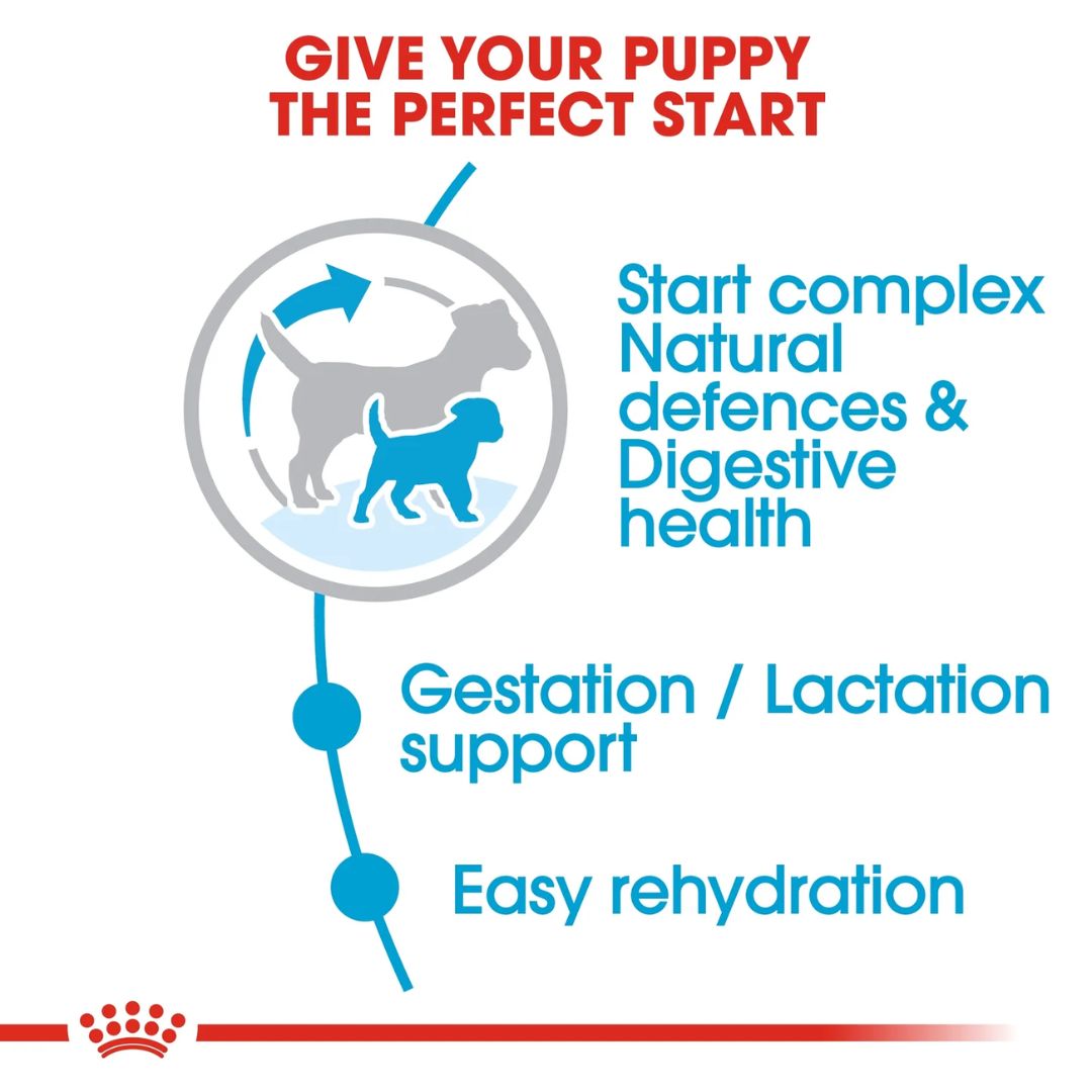 Royal Canin Size Health Mini Starter Dry Dog Food 1kg