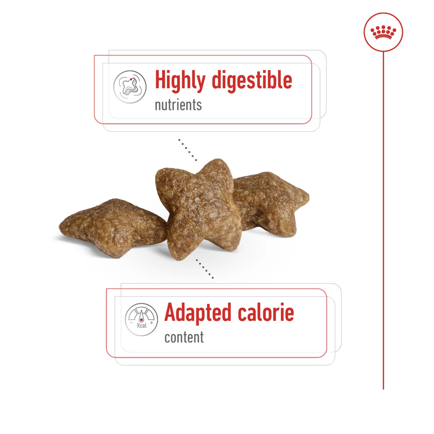 Royal Canin Size Health Mini Adult Dry Dog Food 8kg