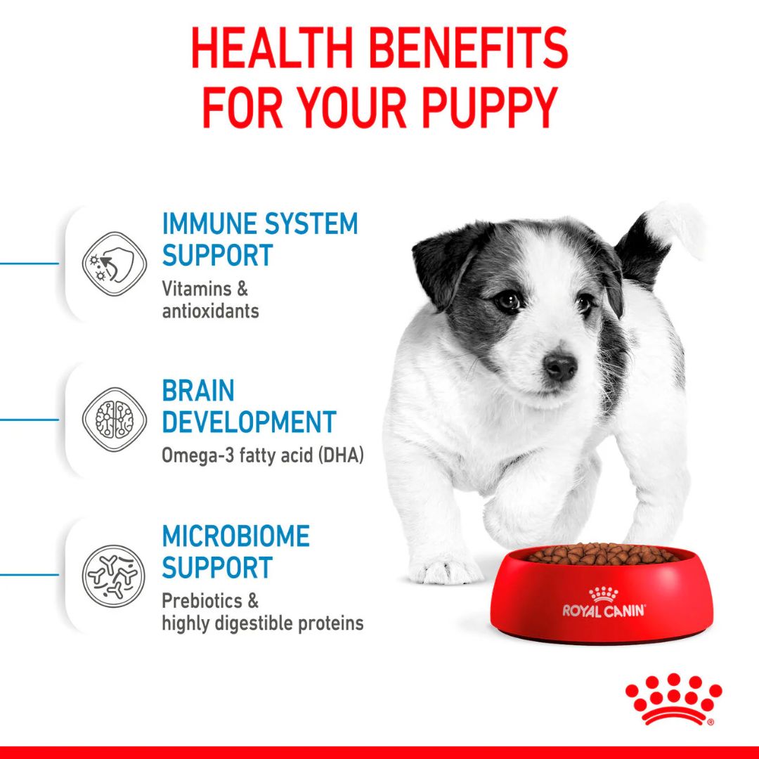 Royal Canin Size Health Mini Puppy Dog Dry Food 4kg