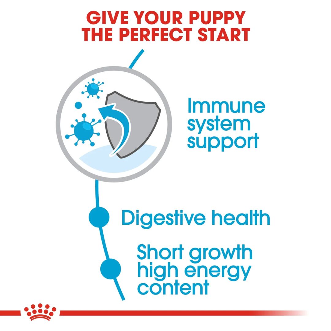 Royal Canin Size Health Medium Puppy Dry food 4kg