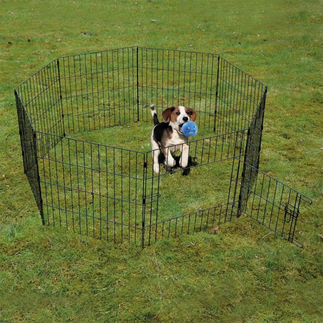 Duvo+ Puppy Run with Door, Net & Hooks – Black, 60 x 60cm Exercise Pen