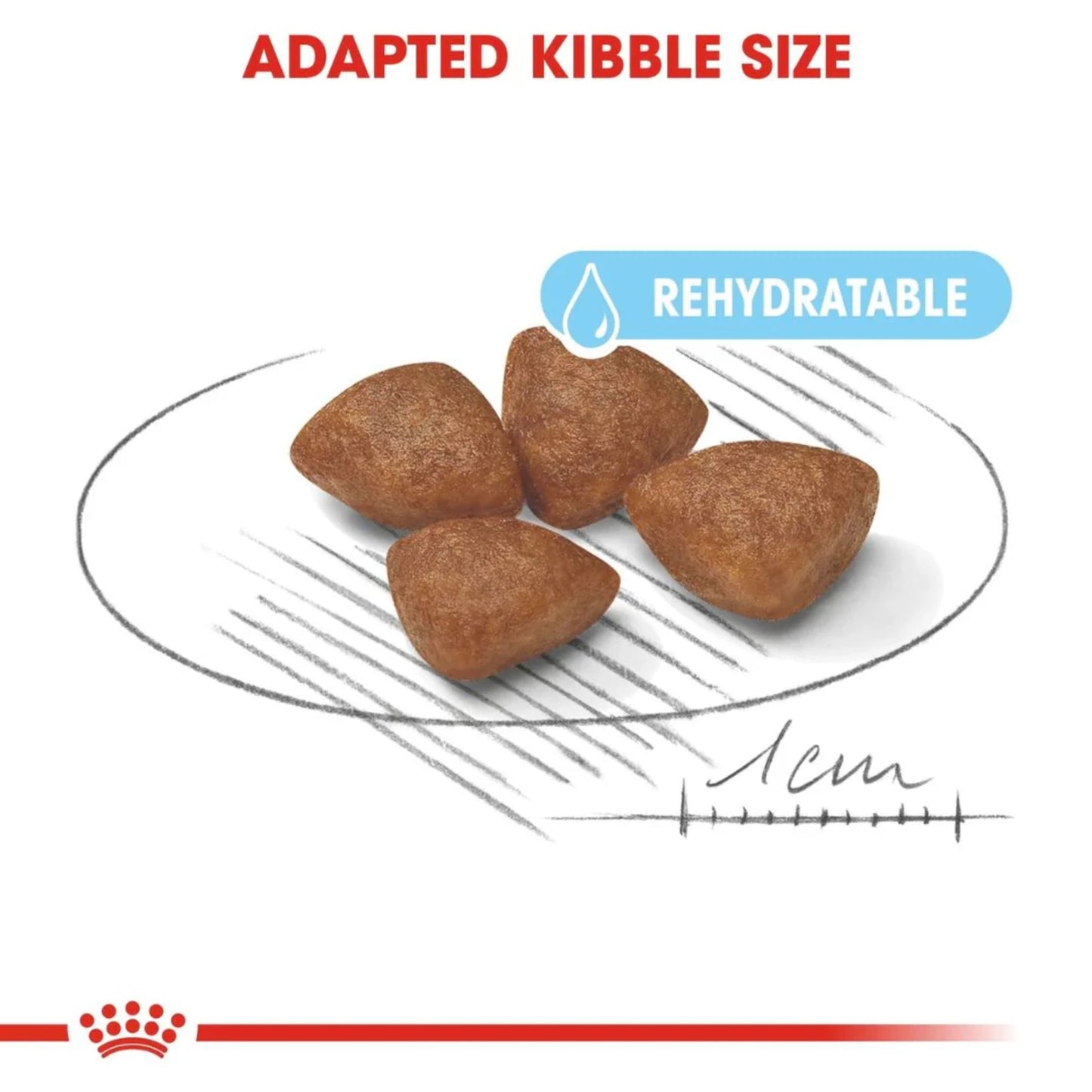 Royal Canin Size Health Mini Starter Dry Dog Food 1kg