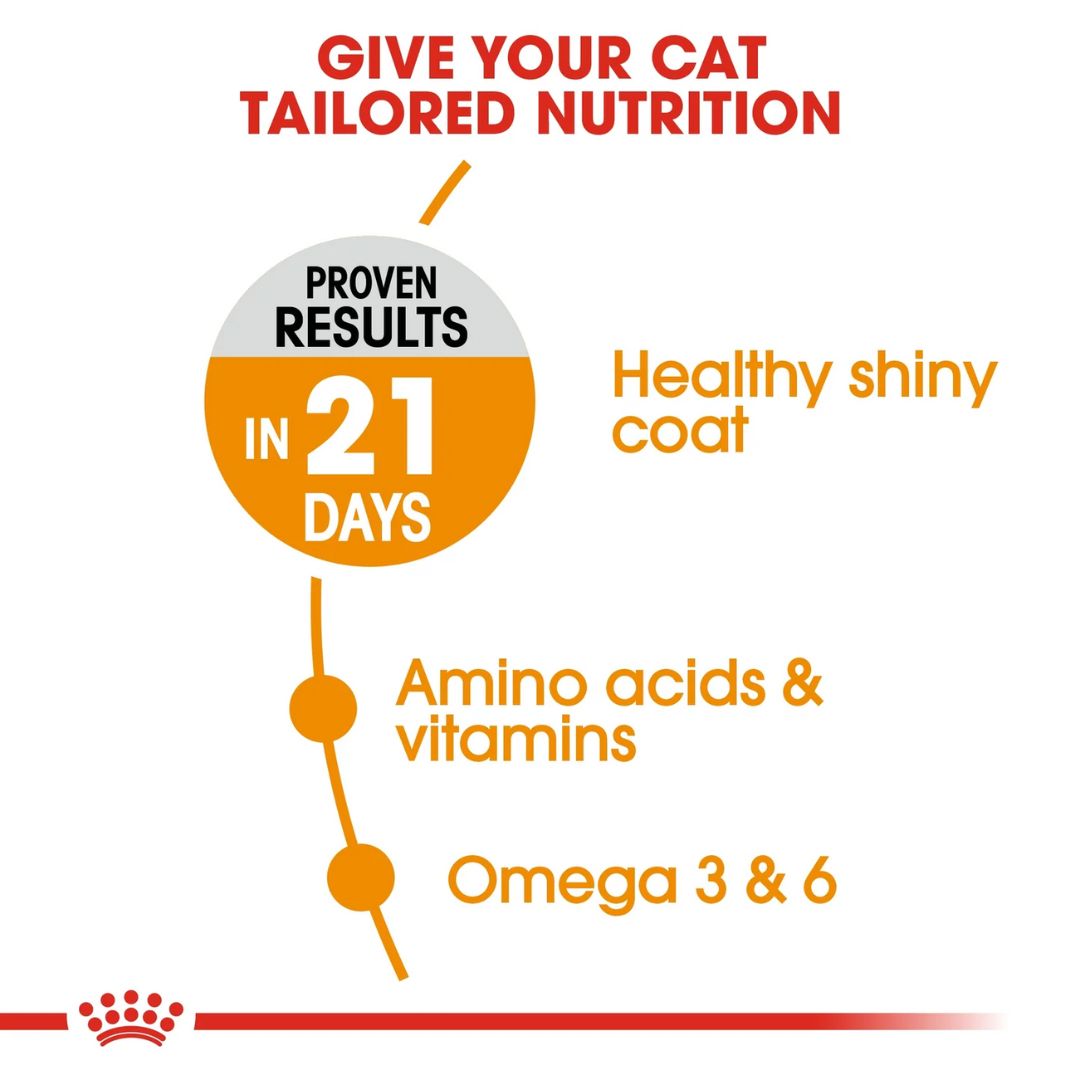 Royal Canin Feline Care Nutrition Hair & Skin Cat Dry food 4kg