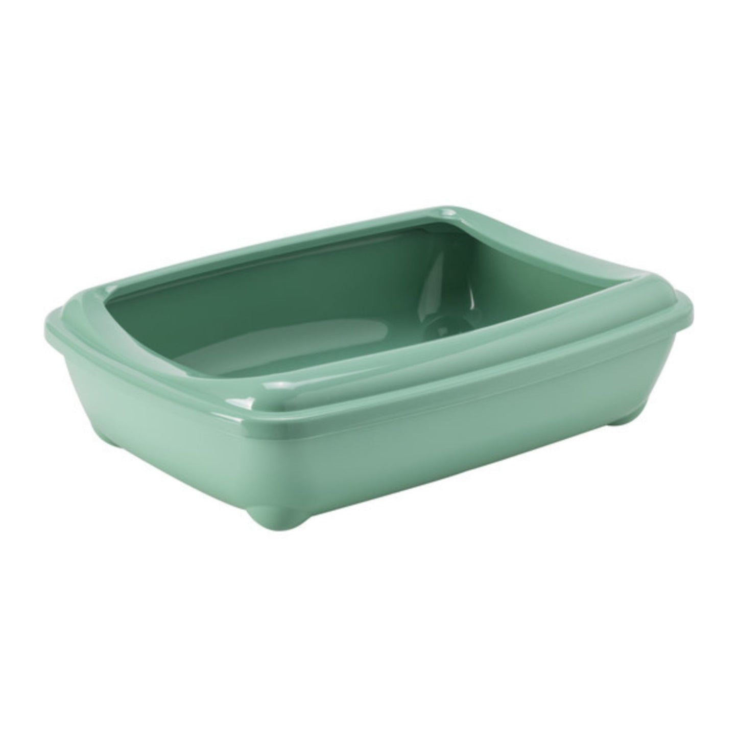 Green tray on a white background