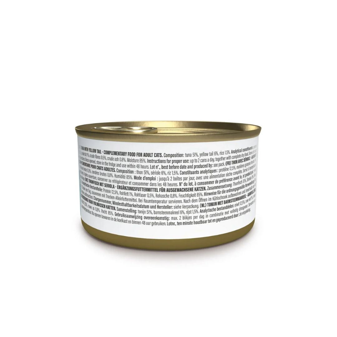 Schesir Complements Cat Wet Food in Jelly Can- Tuna With Yellow Tail 70g