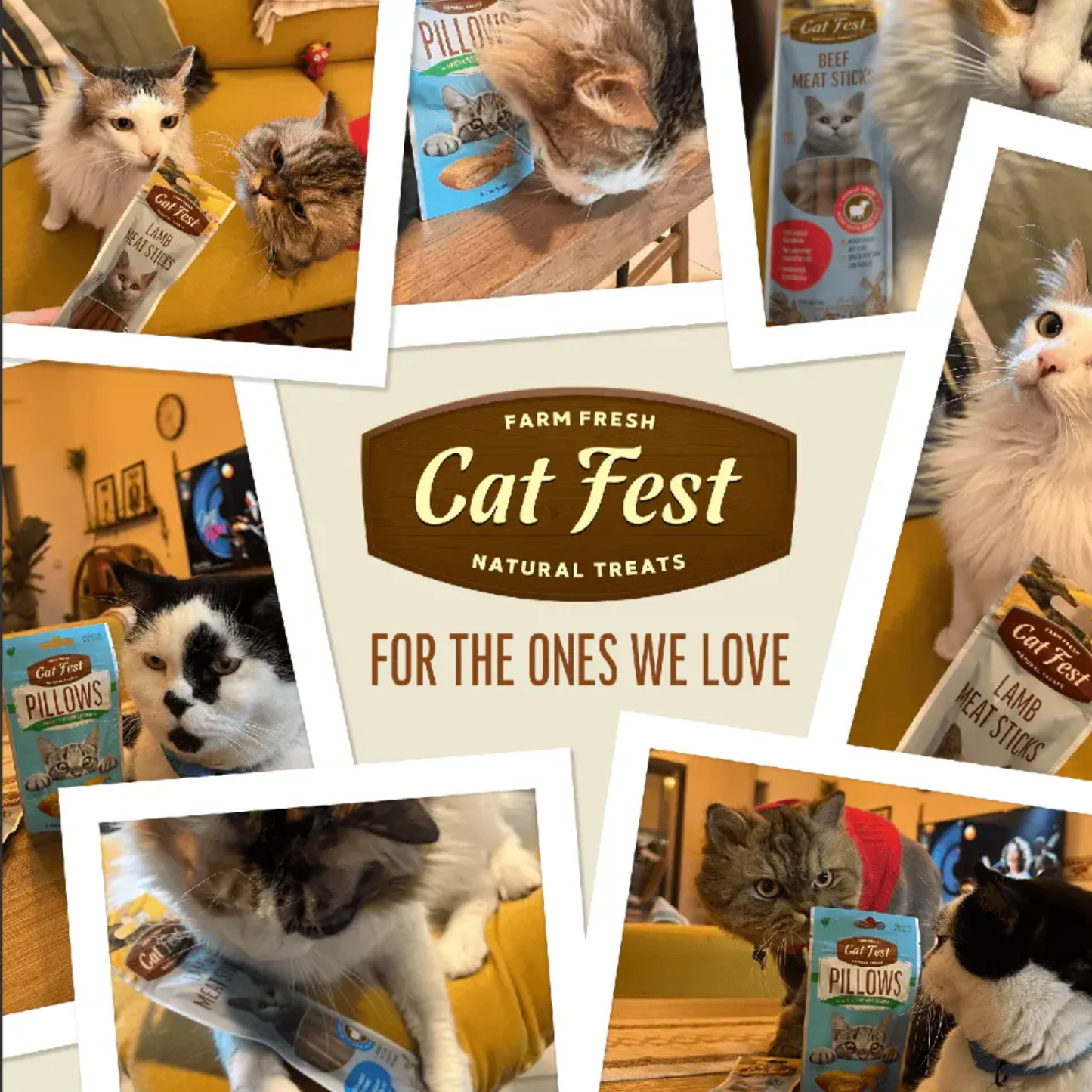 Cat Fest Pillows With Crab Cream Gourmet Cat Treats – 30g