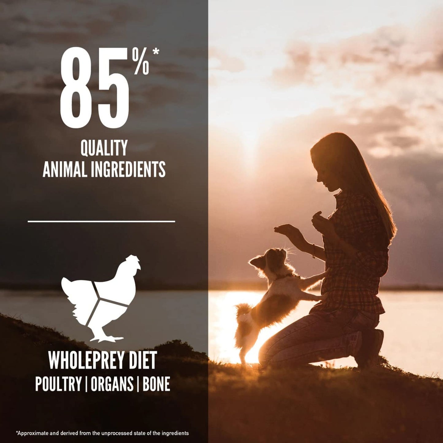 Split image with text about quality animal ingredients on the left and a silhouette of a woman and dog by a lake on the right.