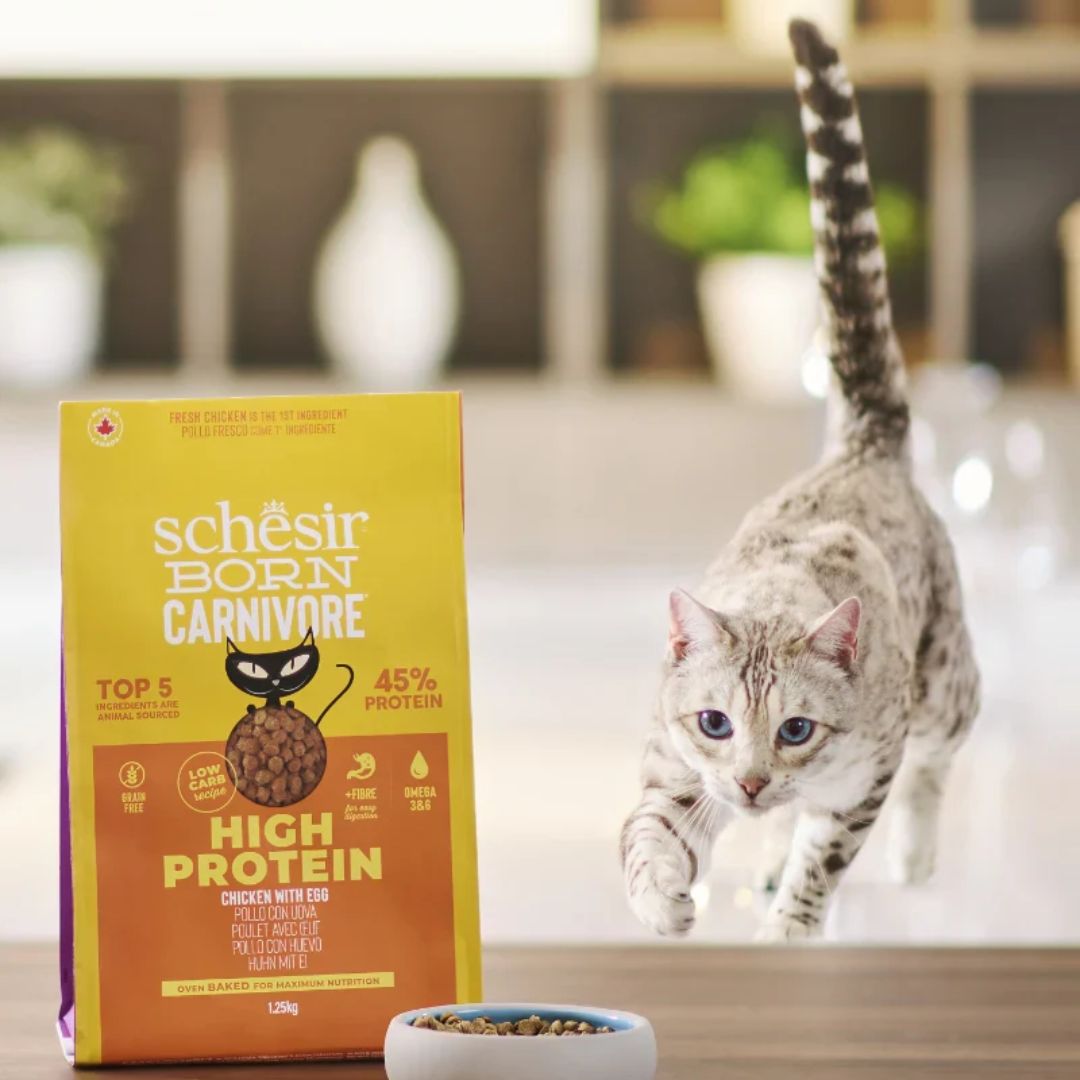 Schesir Born Carnivore Chicken & Egg Dry cat food 1.25kg