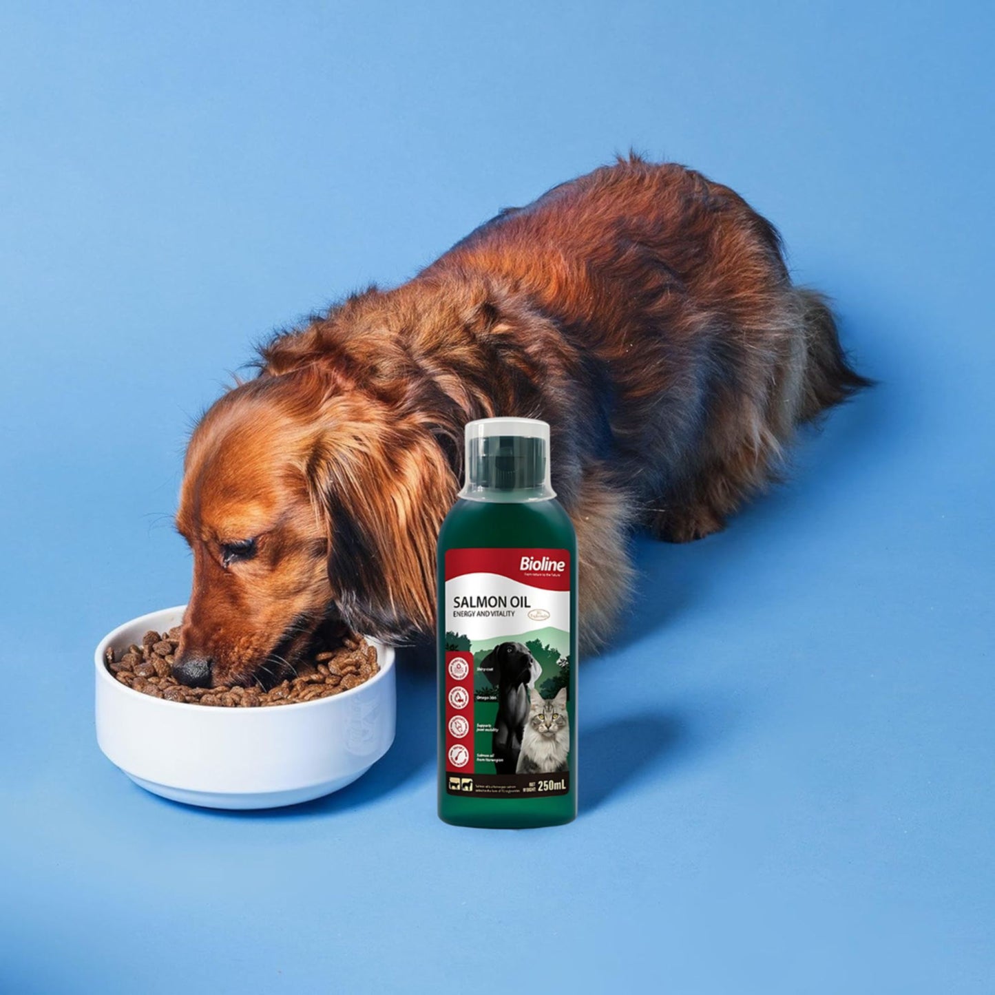 Bioline Norwegian Salmon Oil 250ml Omega-Rich Supplement for Pets