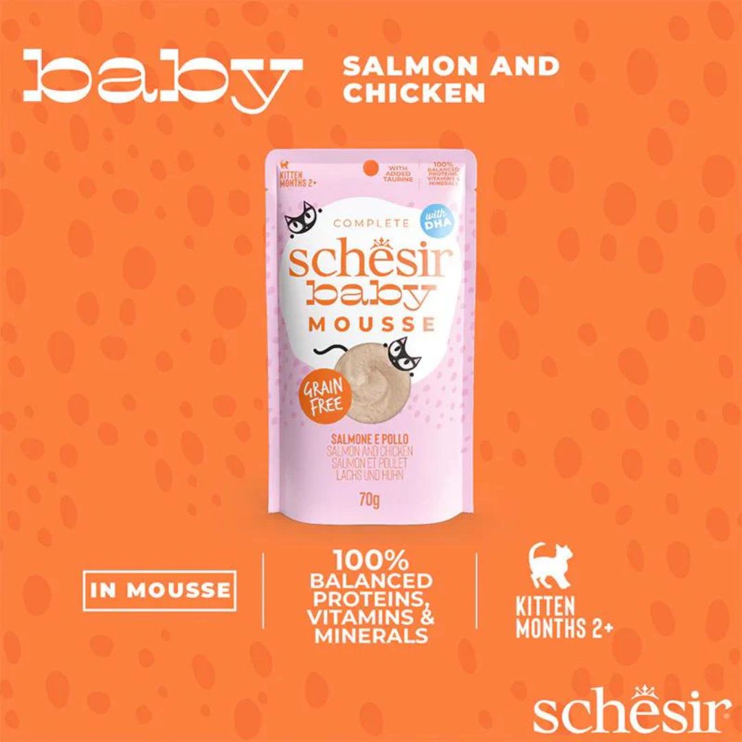 Schesir Baby Kitten Mousse Chicken & Salmon Wet food 70G