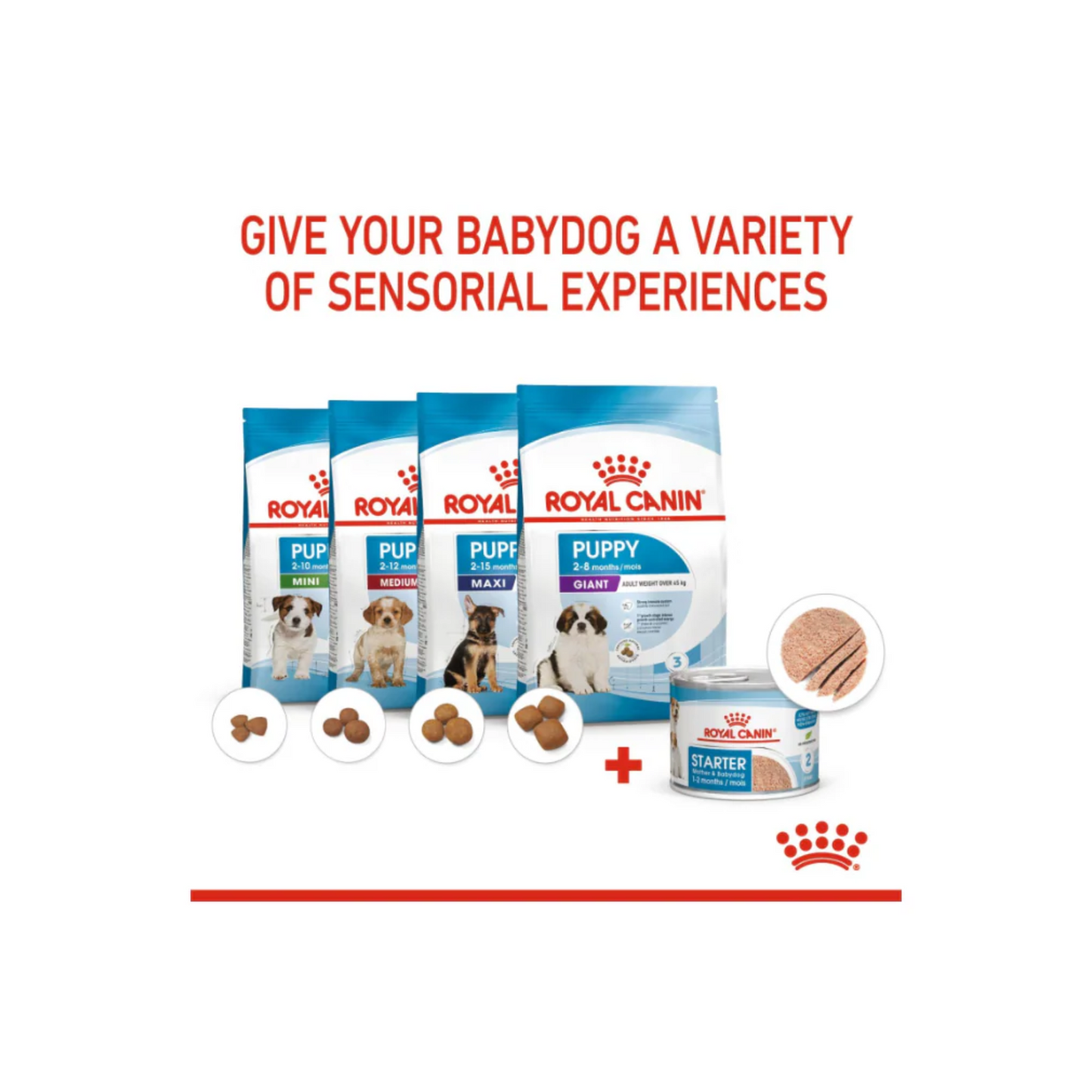 Royal Canin Canine Health Nutrition Starter Mousse 195g WET FOOD