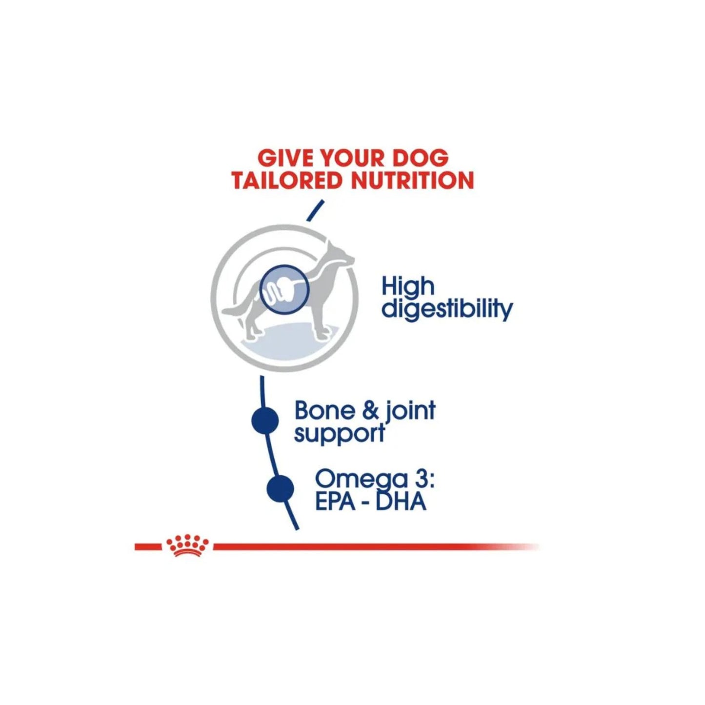 Royal Canin Size Health Maxi Adult Dry Dog food 4kg