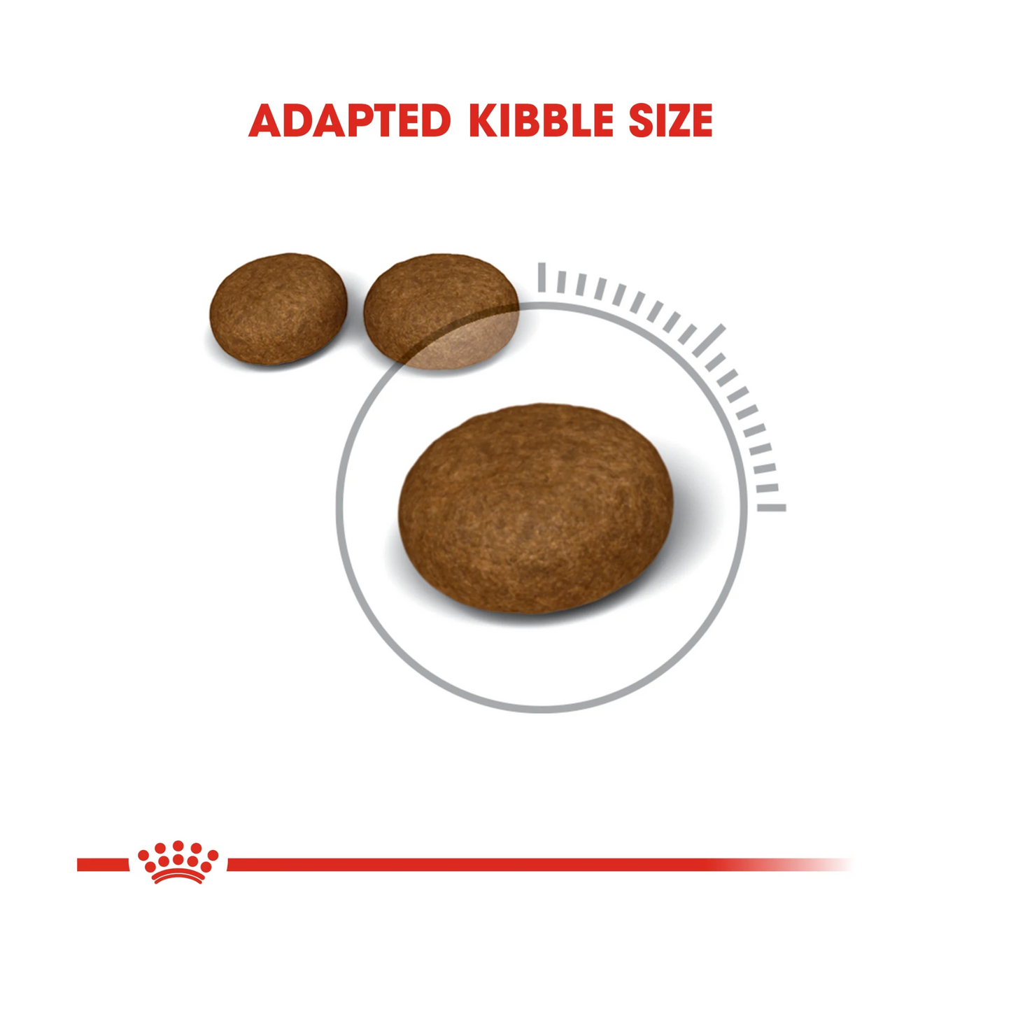 Royal Canin Feline Care Nutrition Hair & Skin Cat Dry food 2kg