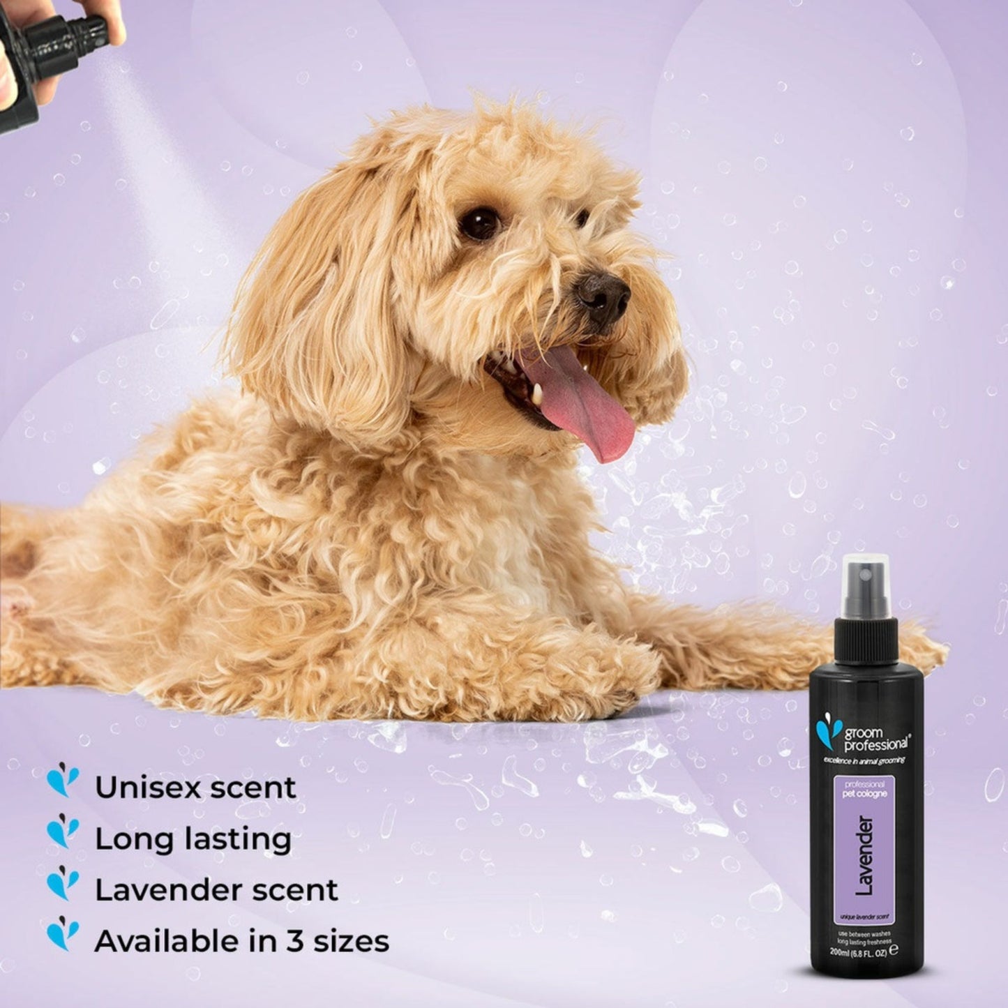 Dog with a lavender-scented pet product on a purple background