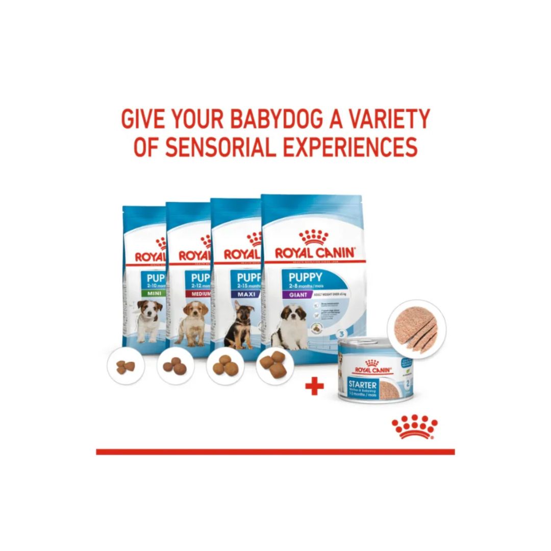 Royal Canin Canine Health Nutrition Starter Mousse 195g WET FOOD