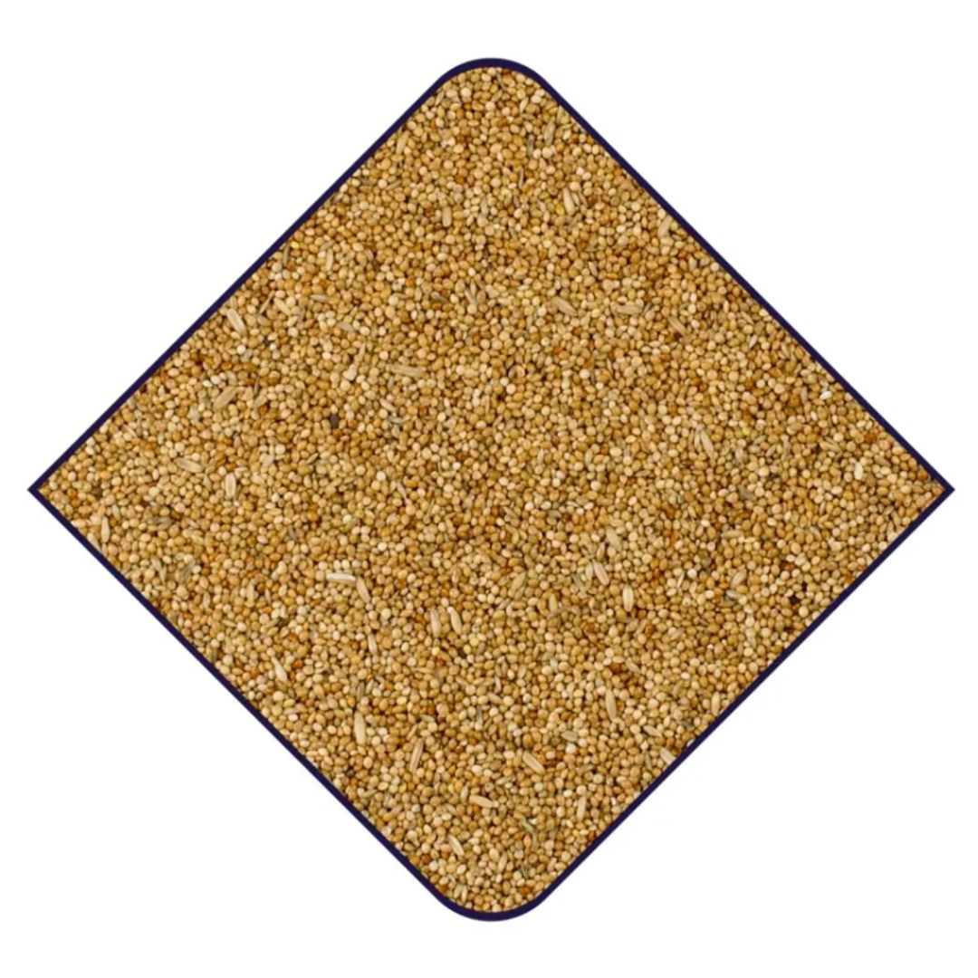 Witte Molen Puur Large Parakeet & Cockatoo Food – 2Kg Gourmet Mix