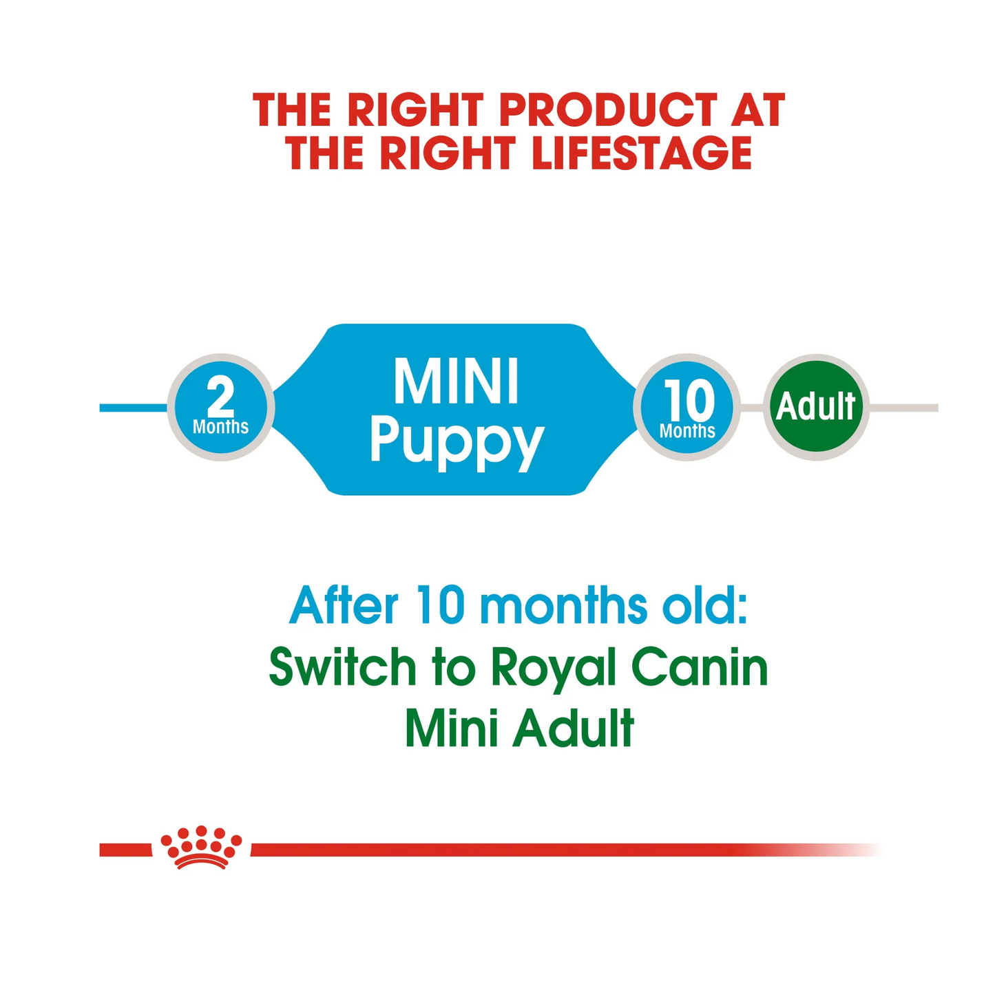 Royal Canin Size Health Mini Indoor Puppy Dry Food 1.5kg