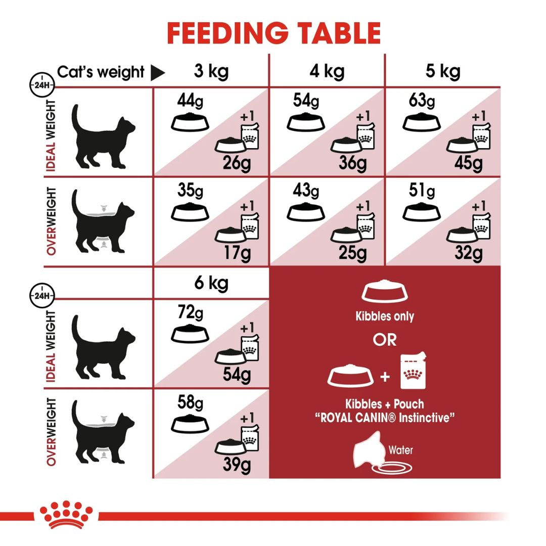 Royal Canin Feline Health Fit 32 Cat Dry food 4kg