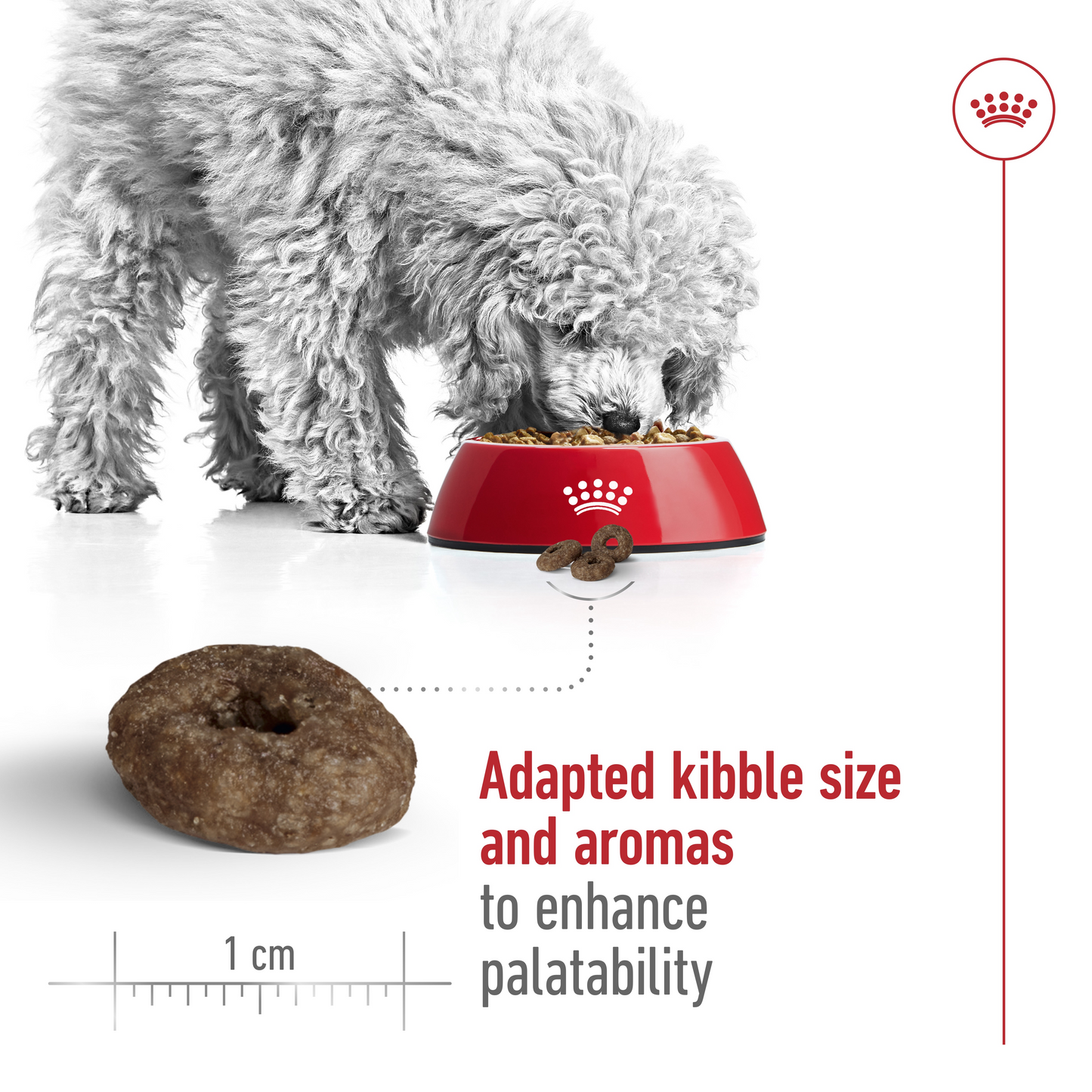 Royal Canin Size Health Mini Ageing 12+Dry Dog Food 1.5kg