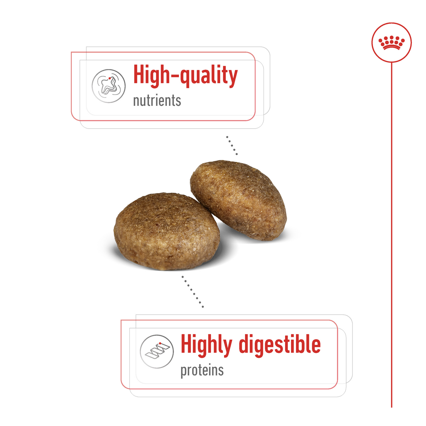 Royal Canin Size Health Maxi Adult Dog Dry food 15kg