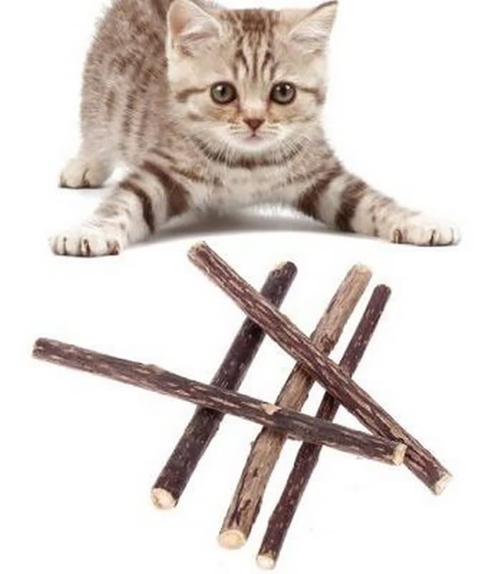 Bioline Catnip Dental Sticks 10g  Natural Teeth Cleaner for Cats
