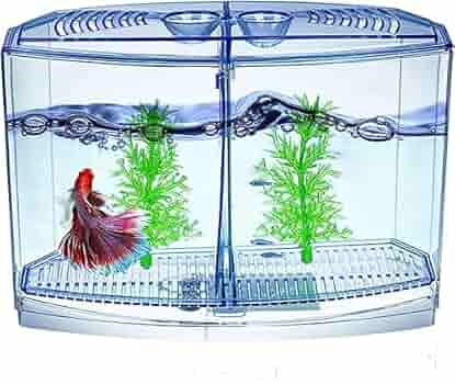 Aquabroo Betta Tank