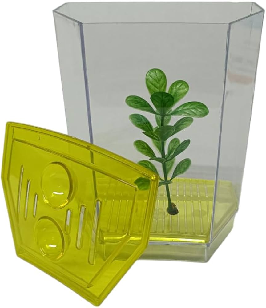 Aquabroo Yellow Betta Tank