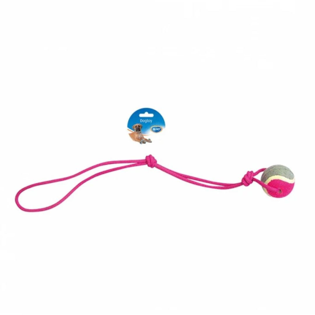 Duvo+ Knotted Cotton Pendulum with 1 Knot & Tennis Ball – Interactive Dog Toy 60cm – Grey/Pink