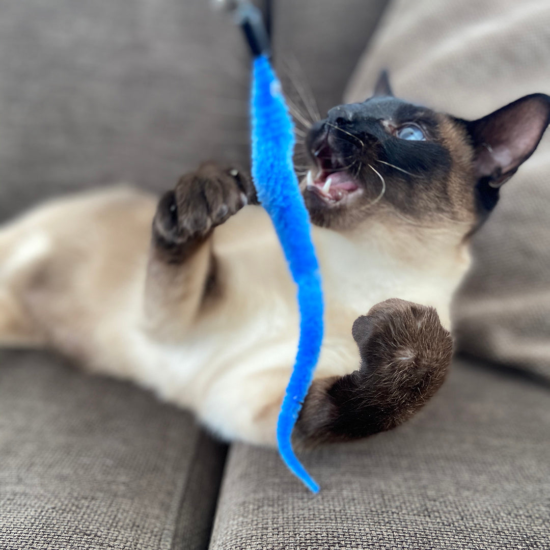 Duvo+ Catchy Cat Wand Toy – Snake Mix Colors, 45.5x2x1cm
