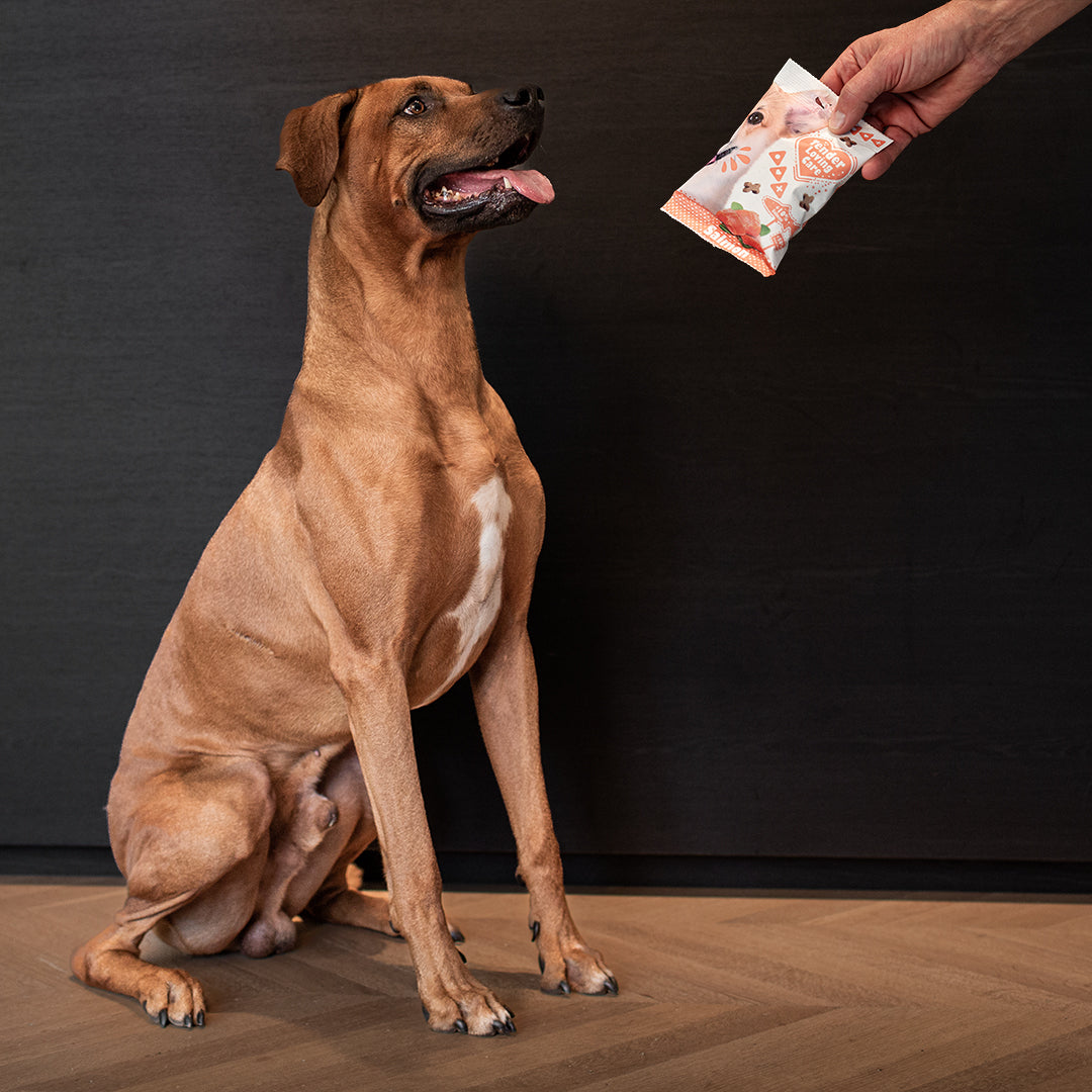 Duvo+ Soft Salmon Snack for Dogs – 100g