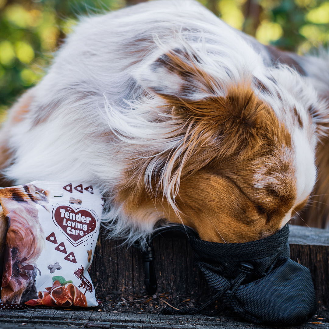 Duvo+ Soft Liver Snack for Dogs – 100g