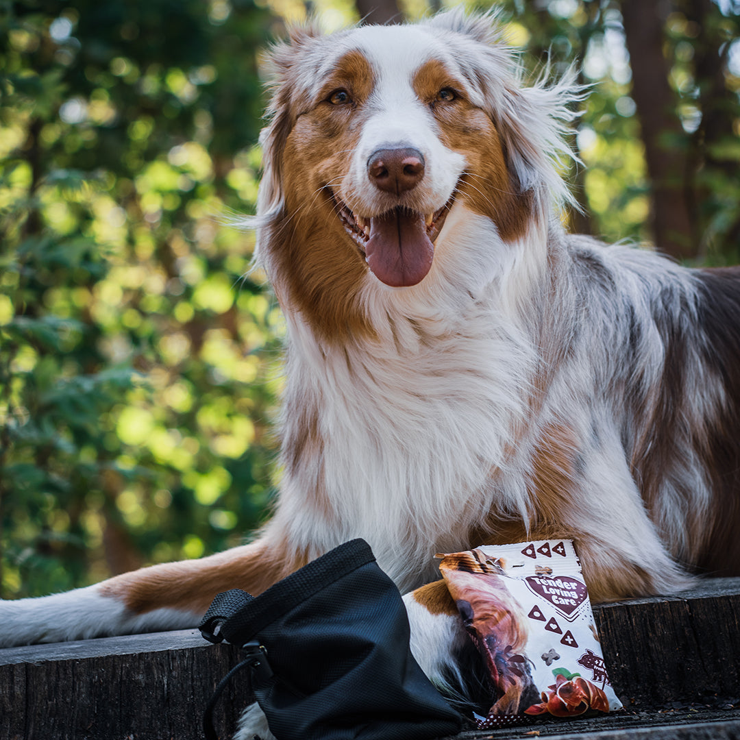 Duvo+ Soft Liver Snack for Dogs – 100g