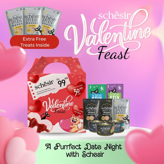 Schesir After Dark Valentines Feast Gift Pack Cat 12pcs