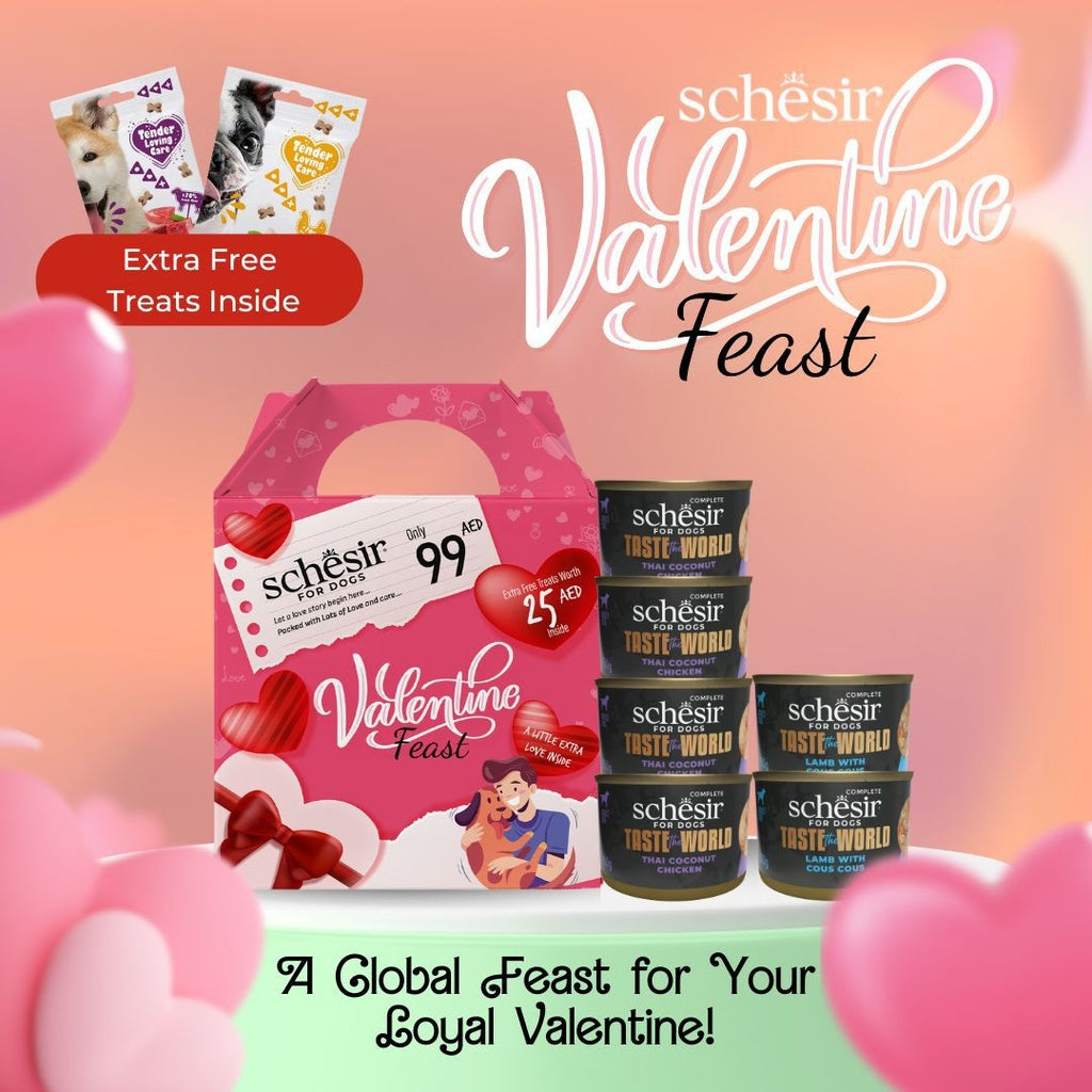 Schesir Taste The World Walentines Feast Gift Pack Dog 150g