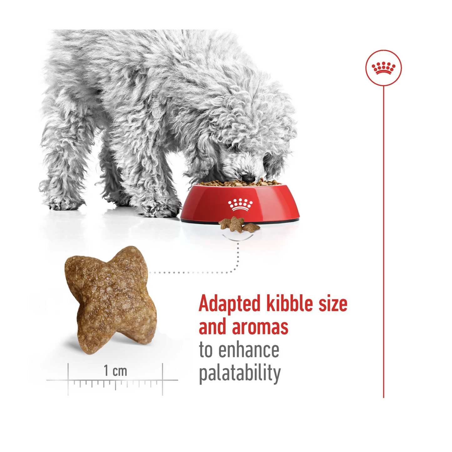 Royal Canin Size Health Mini Adult Dry Dog Food 8kg