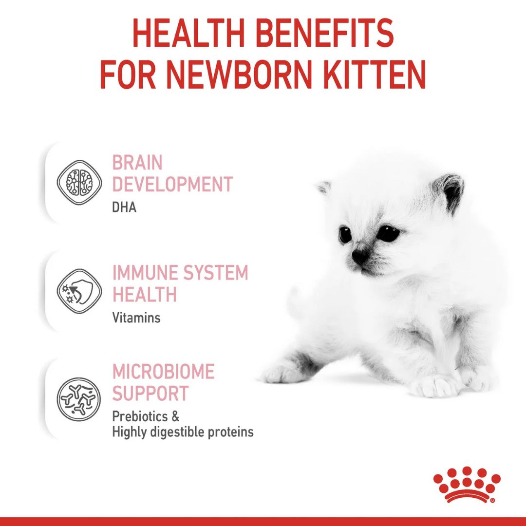 Royal Canin Feline Health Babycat Milk Powder 300g