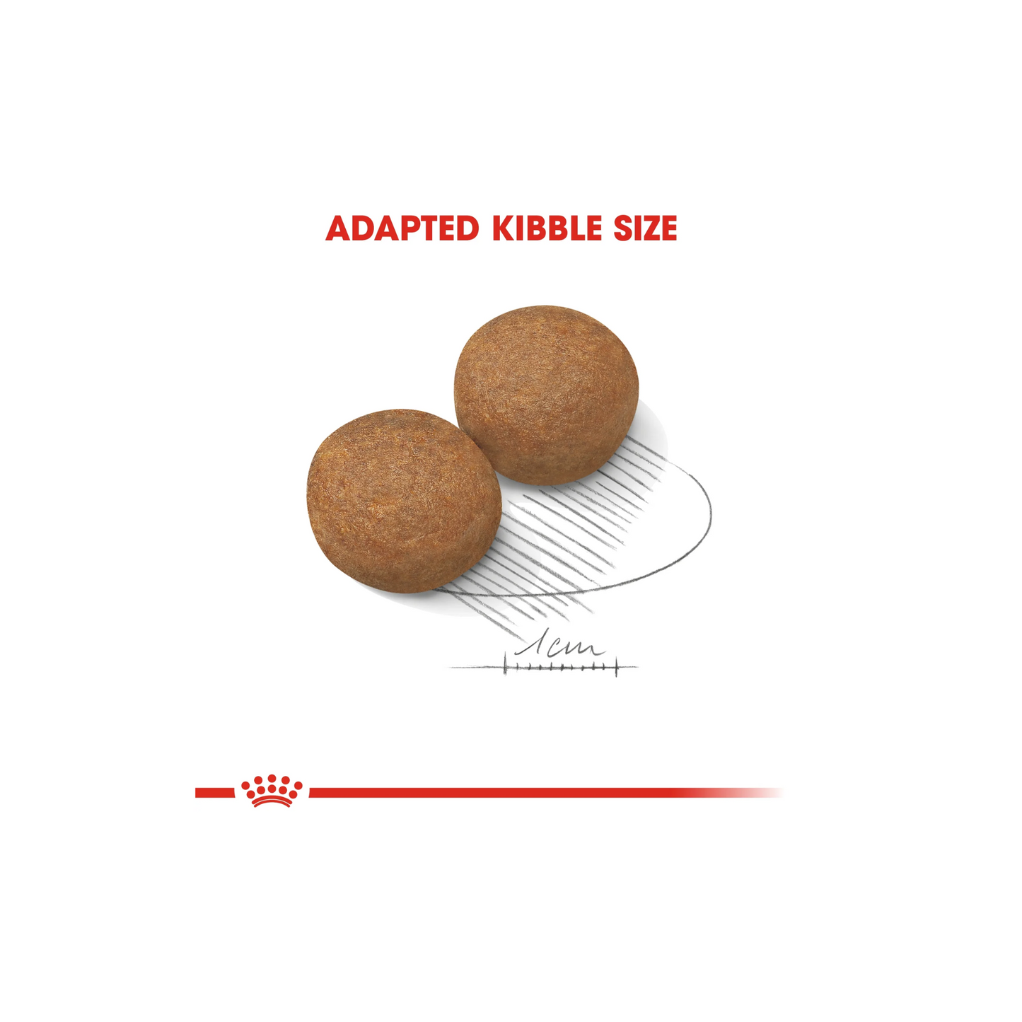 Royal Canin Size Health Maxi Adult Dry Dog food 4kg