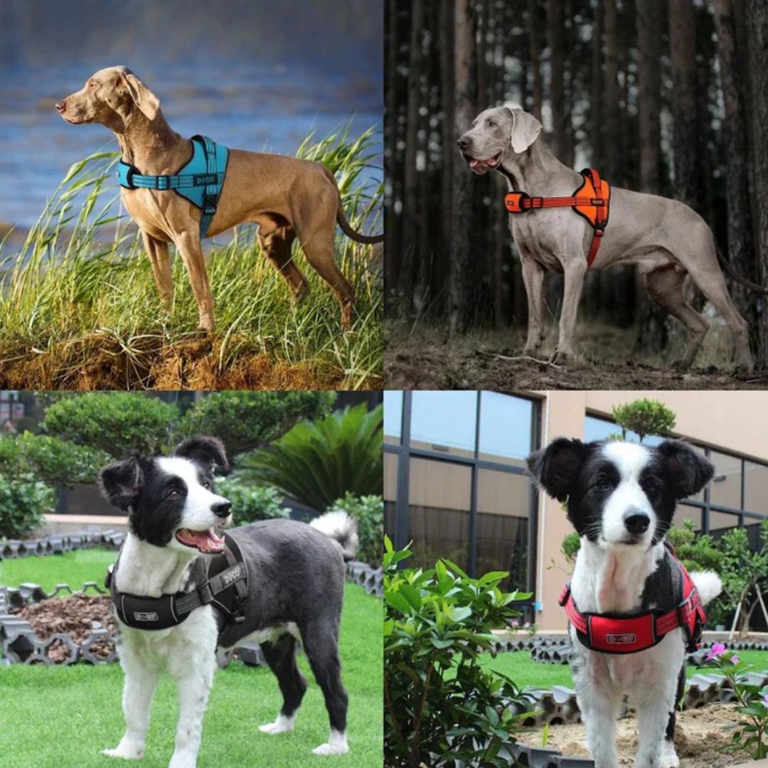 Doco Vertex Power Harness Previous (Dvx1) – Durable Power Dog Harness