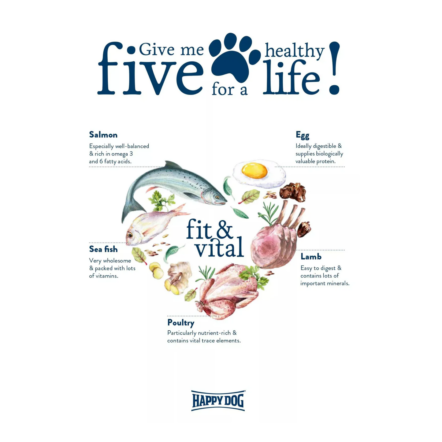 Happy Dog Fit & Vital - Medium Adult 4 KG