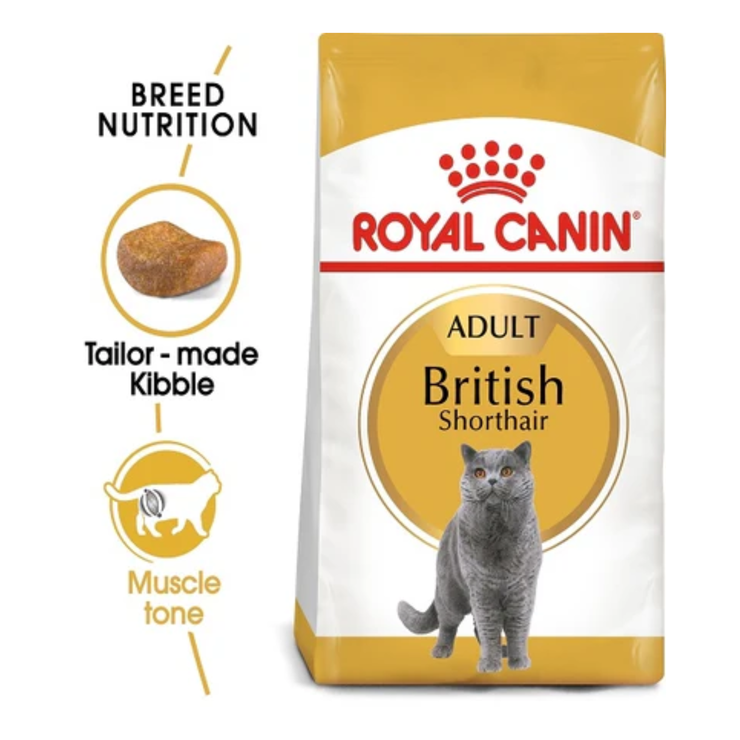 Royal Canin Feline Breed Nutrition British Shorthair Adult Dry Food
