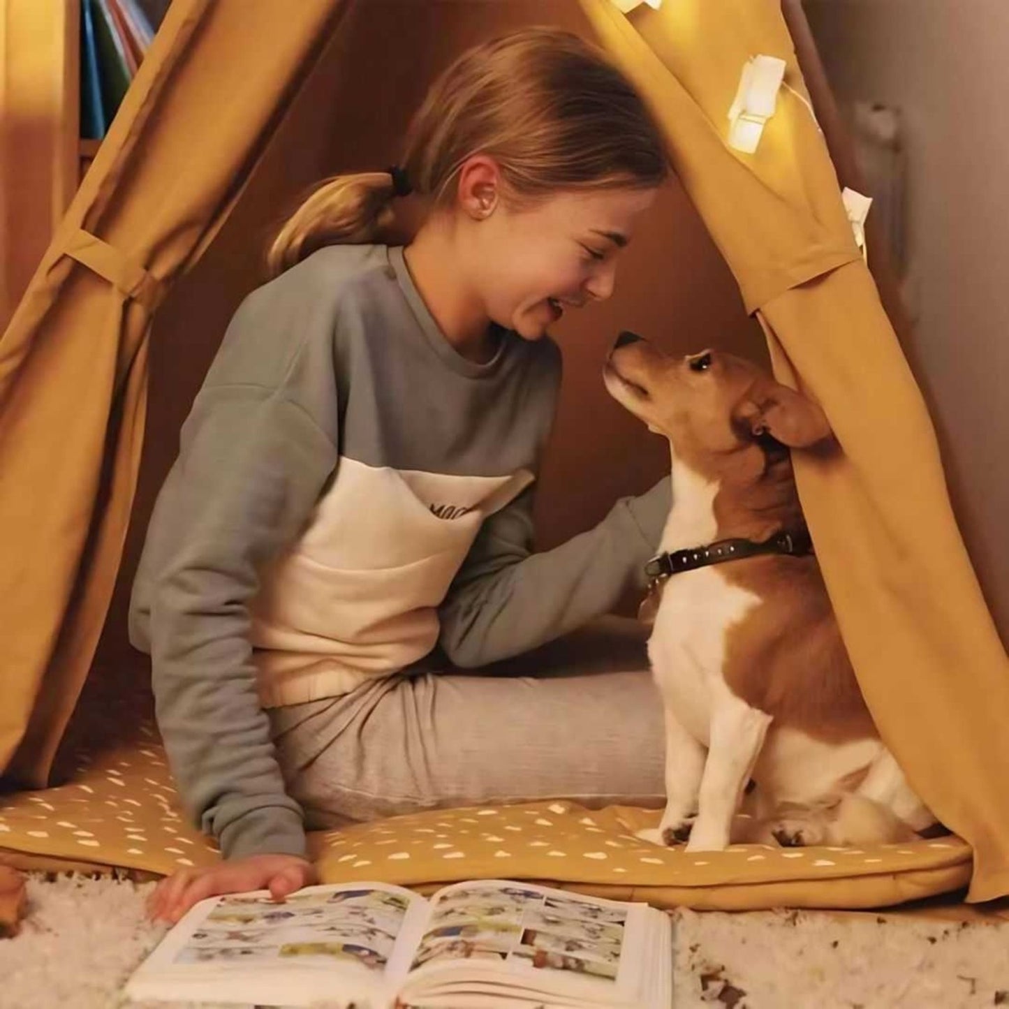 Pro Nutrition Prestige Dog Adult Mini Light Sterilised - 3Kg